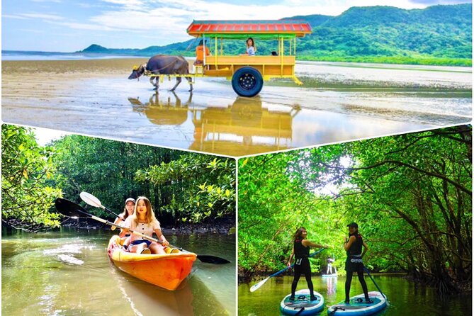 Iriomote Sup Canoe Tour At Mangrove Forest Sightseeing In Yubujima Island Quick Takeaways