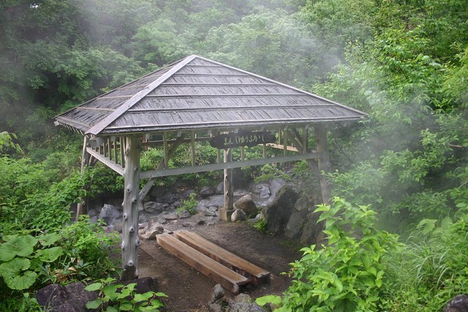 Half-Day Private Guided Japanese Hot Spring Experience - Inclusions and Amenities Provided