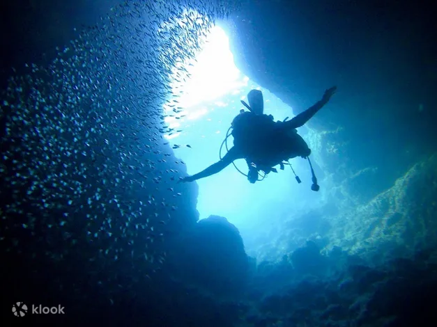 Blue Cave Snorkeling And Diving In Okinawa Group Options