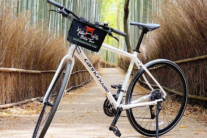 Top Highlights Of Kyoto With Kyoto Bike Tour