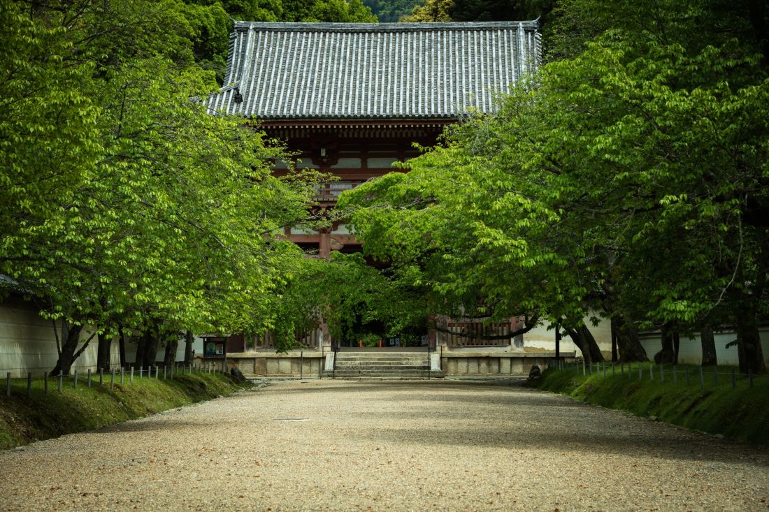Daigoji Temple Kyoto
