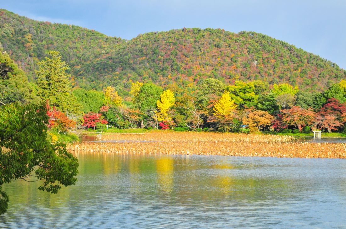 Daikakuji Temple Kyoto