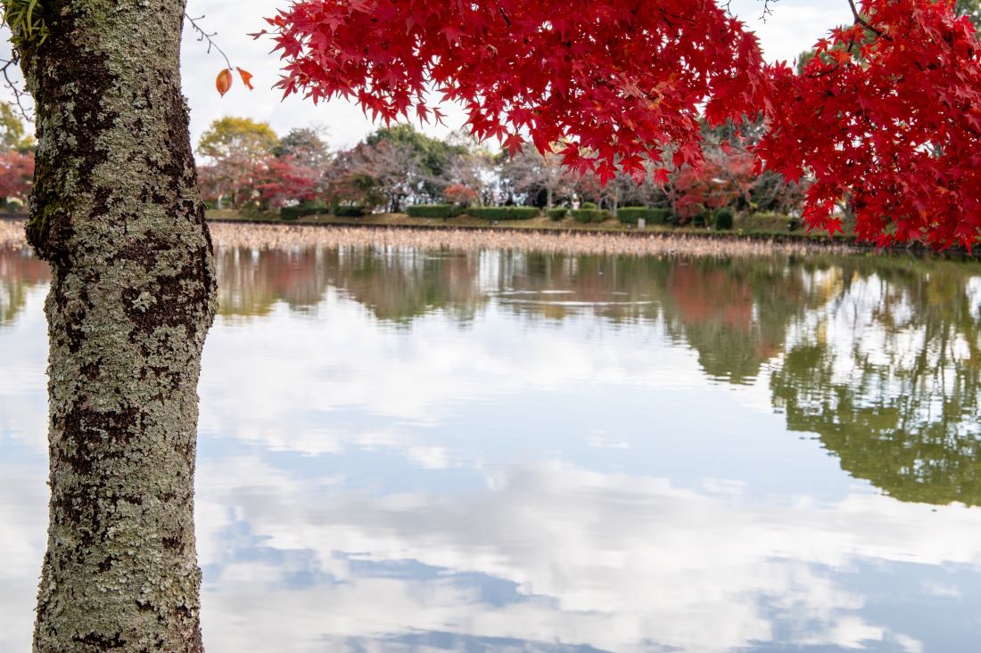 Daikakuji Temple Kyoto