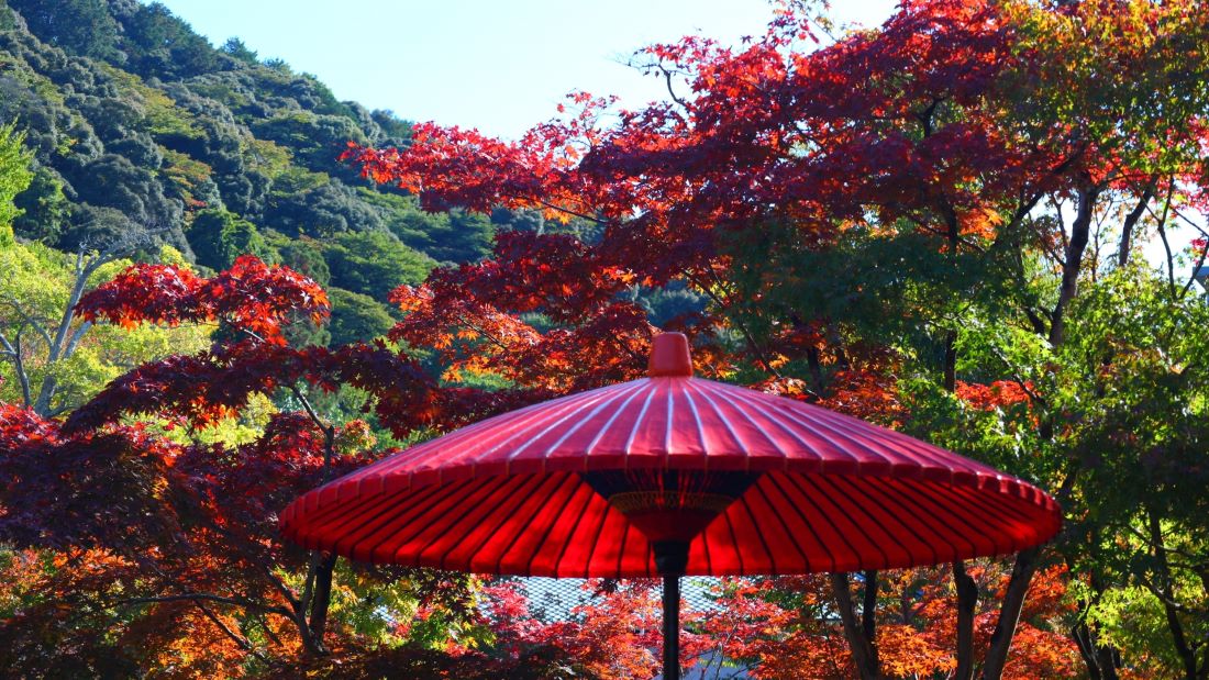 Eikan do Zenrin ji Temple Kyoto