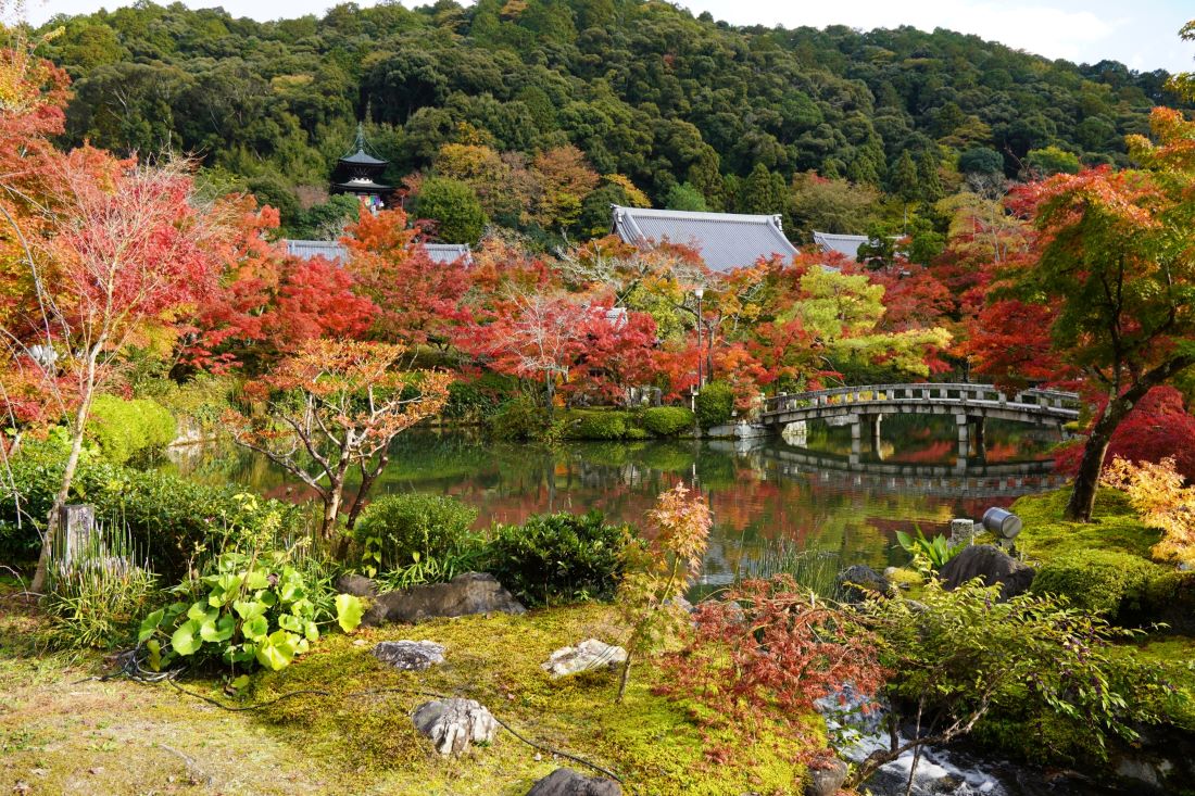 Eikan do Zenrin ji Temple Kyoto