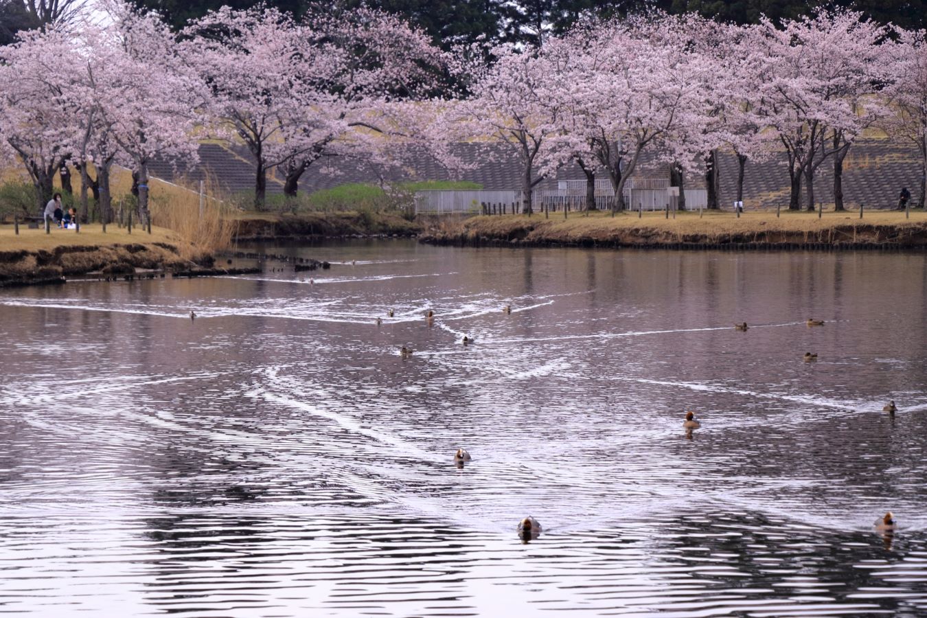 Expo Commemorative Park