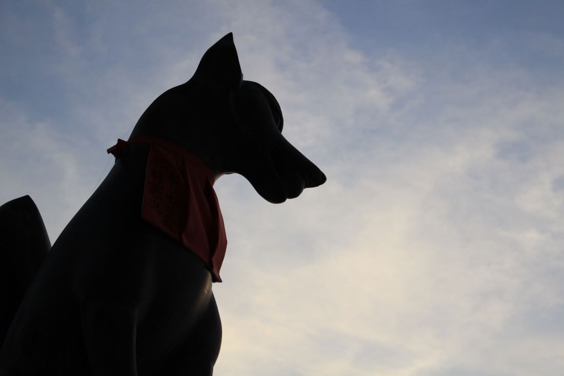 Fushimi Inari Shrine Kyoto
