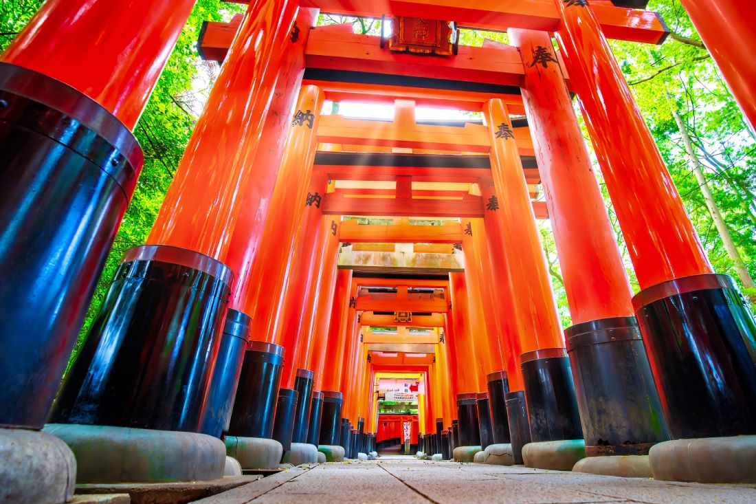 Fushimi Inari Shrine Kyoto