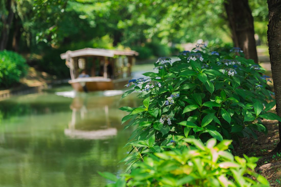 Fushimi Sake District Kyoto