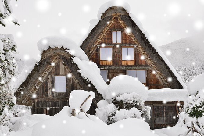 Gokayama and Shirakawago Winter Illuminations Tour from Nagoya ()