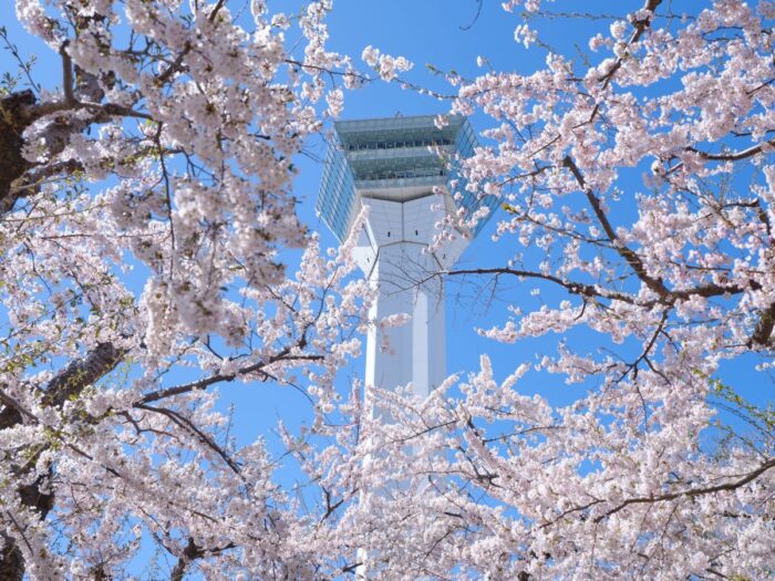 Goryokaku Tower Hakodate