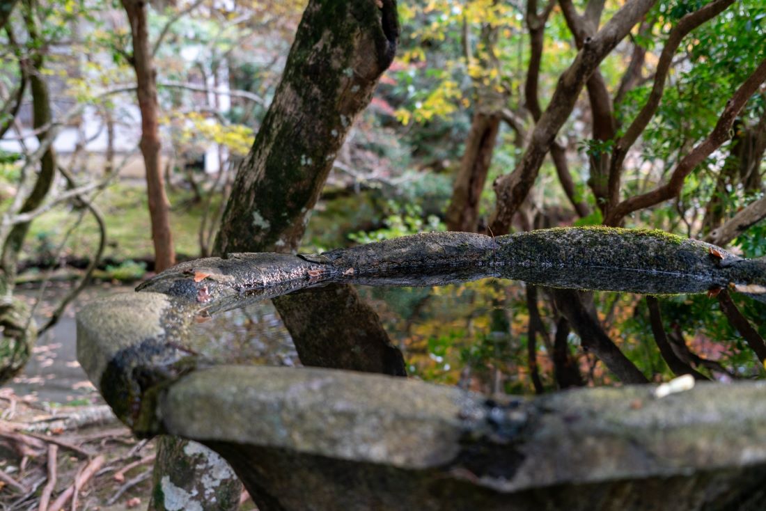 Honen in Temple Kyoto