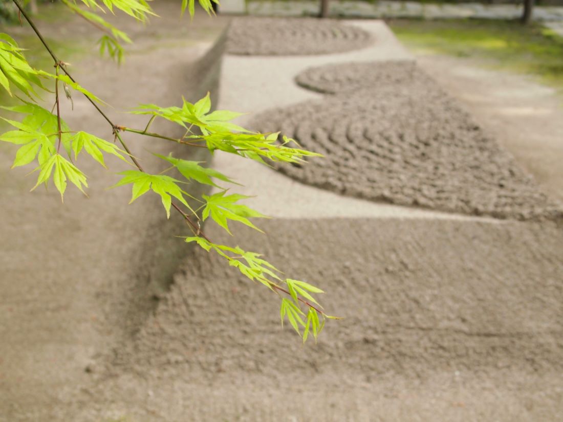 Honen in Temple Kyoto