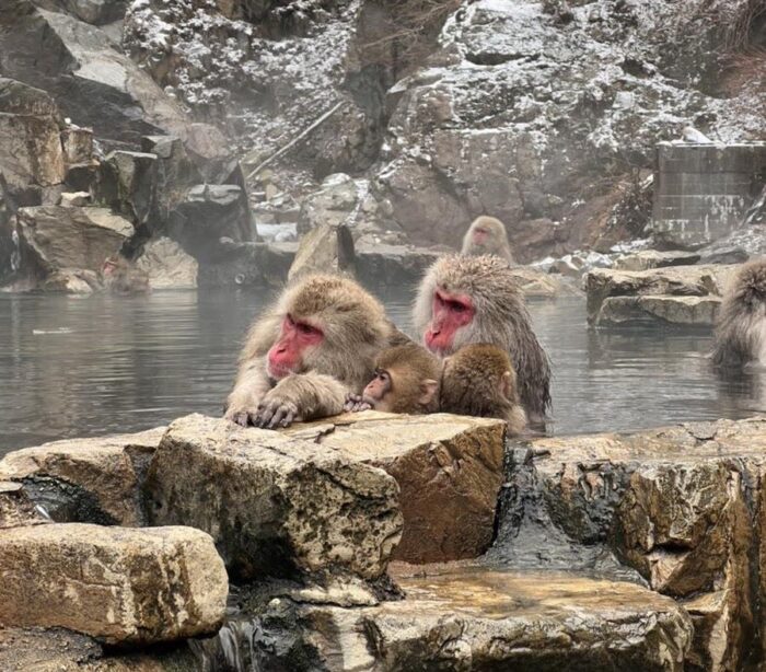 JR East Pass Nagano Niigata