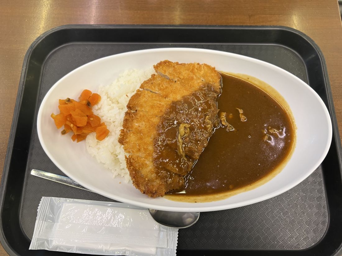 Japanese Curry