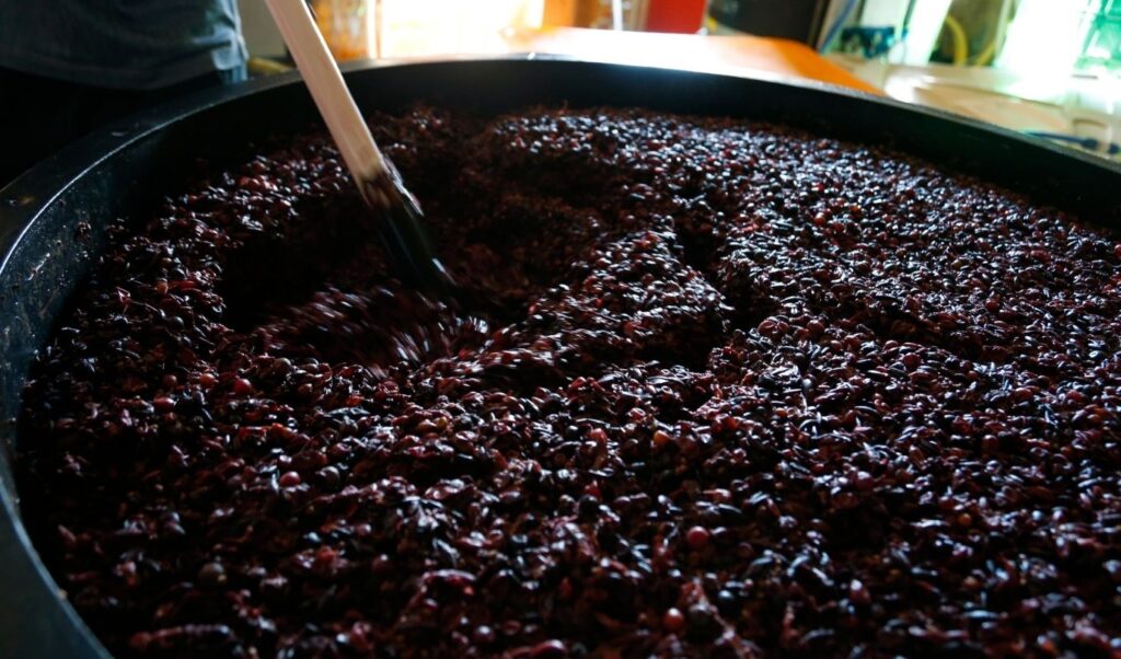 Japanese Wine Hokkaido