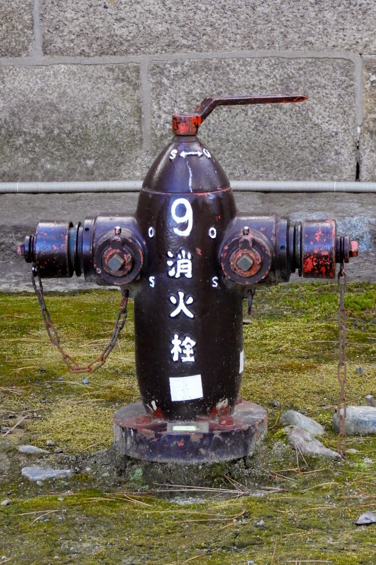 Kyoto Imperial Palace