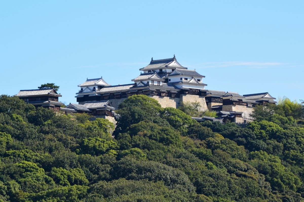 Matsuyama Castle