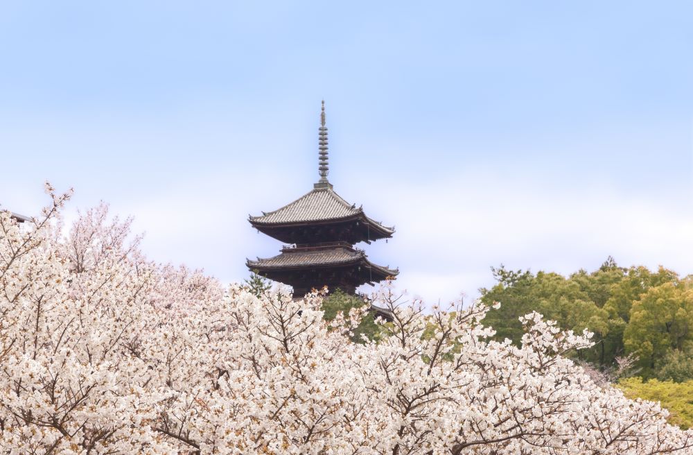 Ninnaji Temple Kyoto
