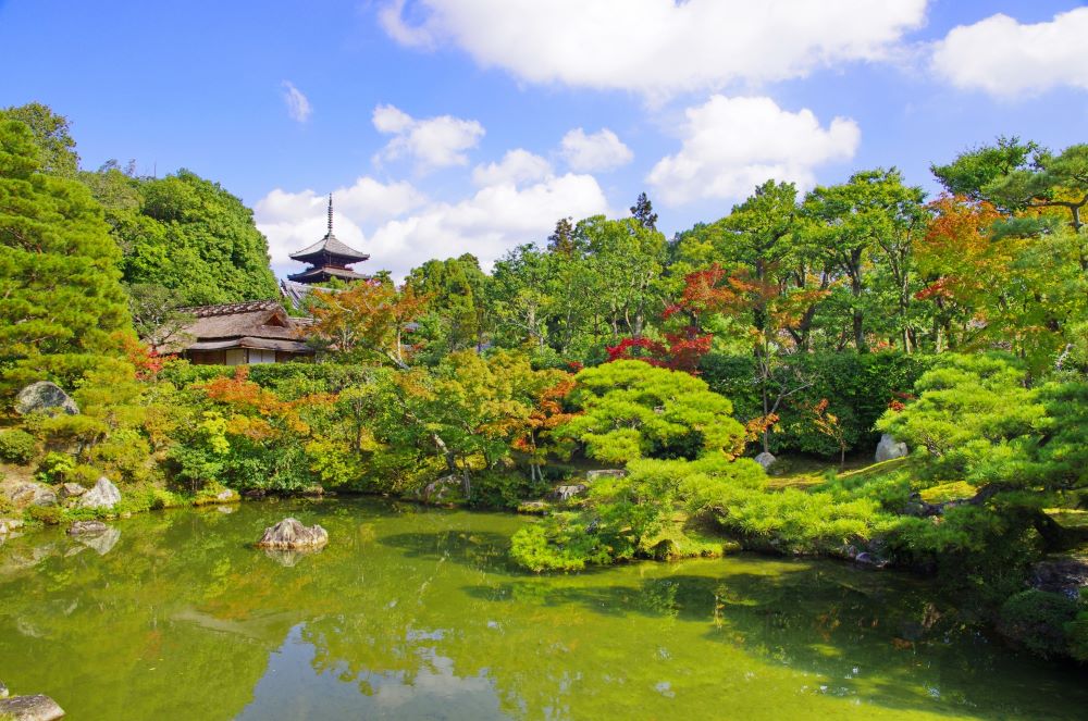 Ninnaji Temple Kyoto
