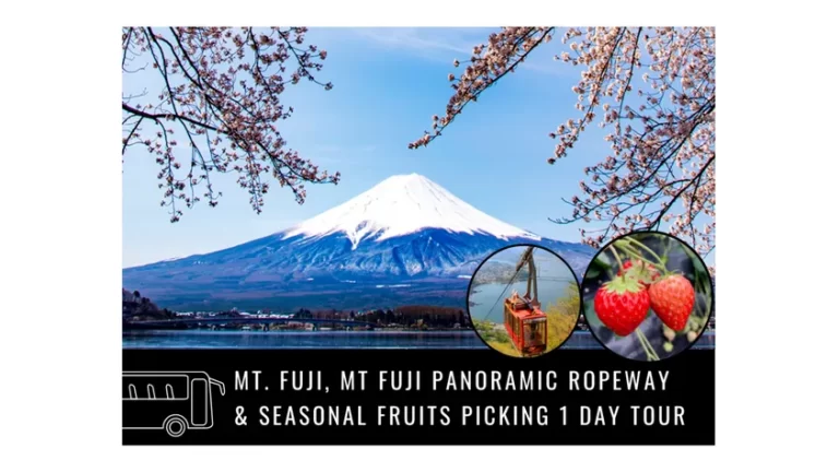 Oishi Park and Mt. Fuji One Day Bus Tour with Fruit Picking from Tokyo Klook