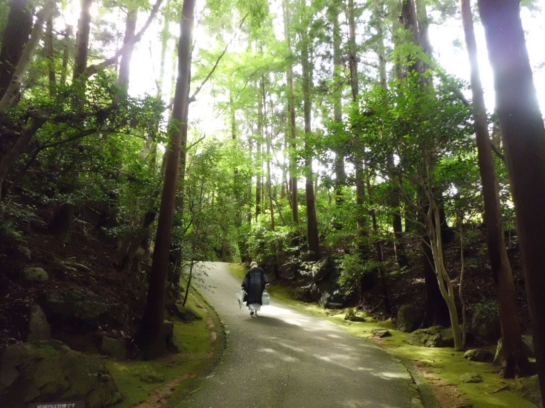 Okochi Sanso Garden kyoto