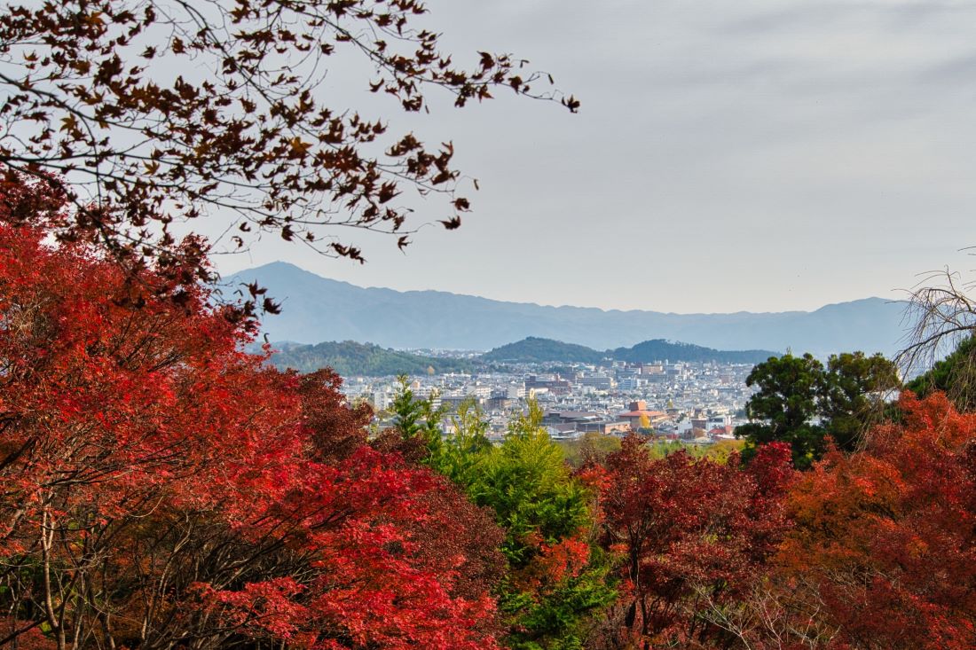 Okochi Sanso Garden kyoto