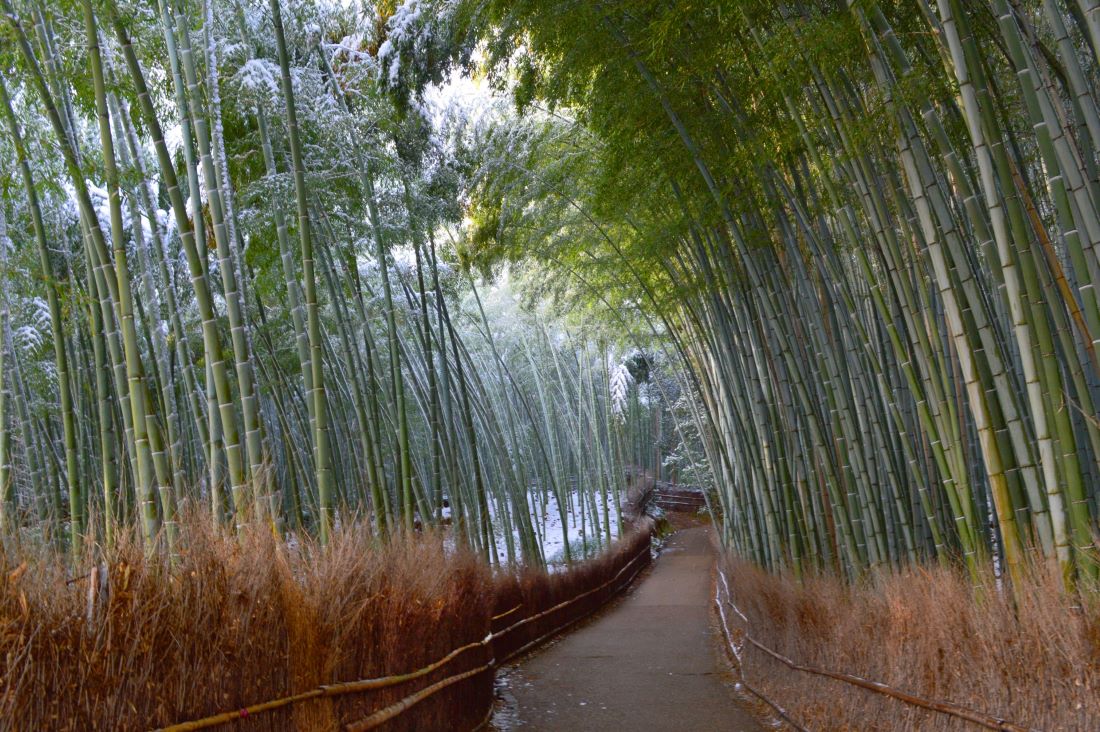 Okochi Sanso Garden kyoto