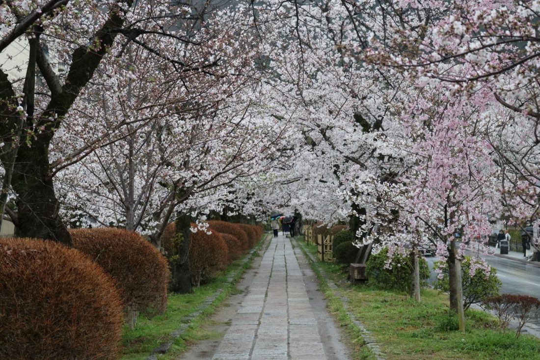 Philosophers Path Kyoto