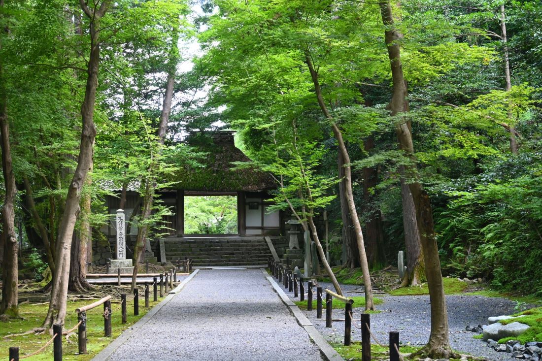 Philosophers Path Kyoto