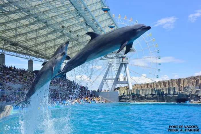 Port of Nagoya Public Aquarium Klook()