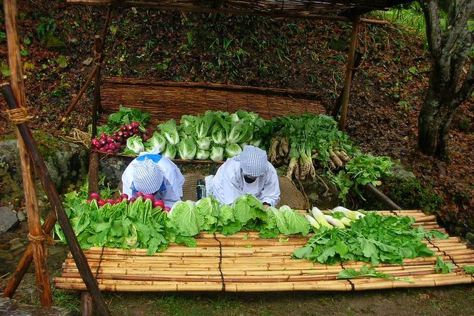 Private Guided Tour of Hida Folk Village Takayam ()