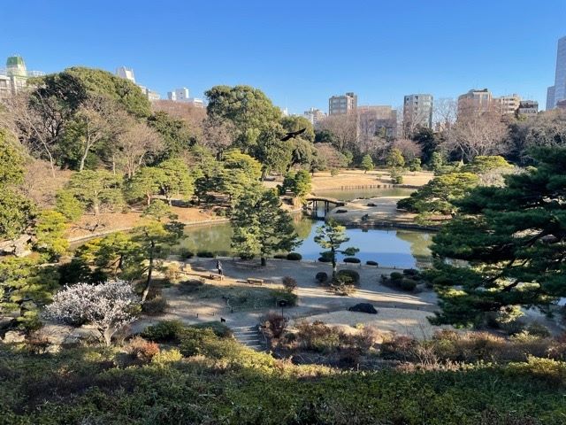 Rikugien Garden