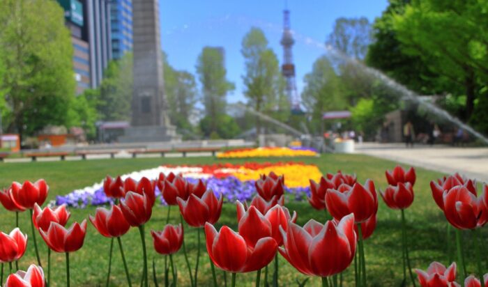 Sapporo Odori Park Koen