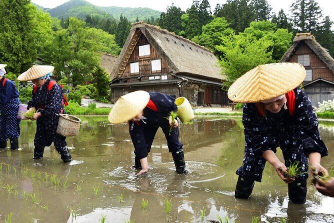 Shirakawago Day Trip Government Licensed Guide & Vehicle from Takayama ()