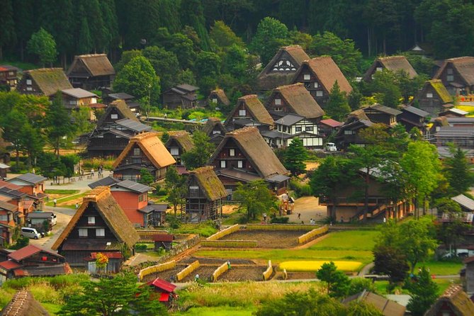 Shirakawago Private, Customized Tour from Takayama ()