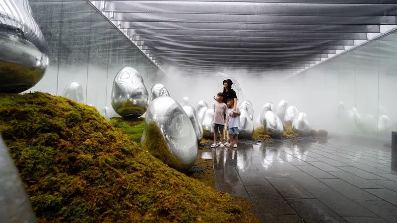 TeamLab Planets Tokyo fb