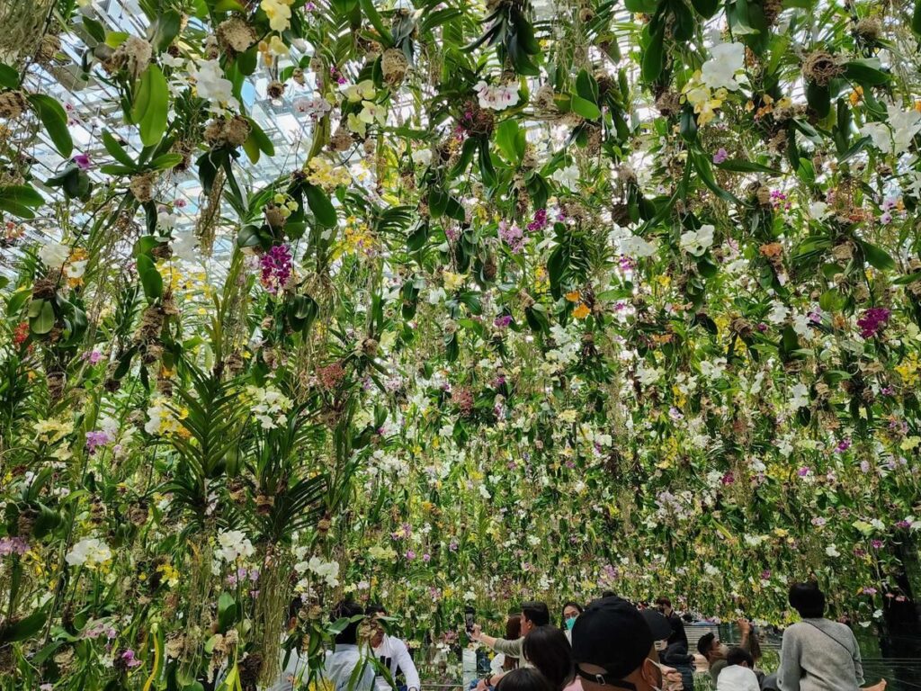 TeamLab Planets Tokyo kl