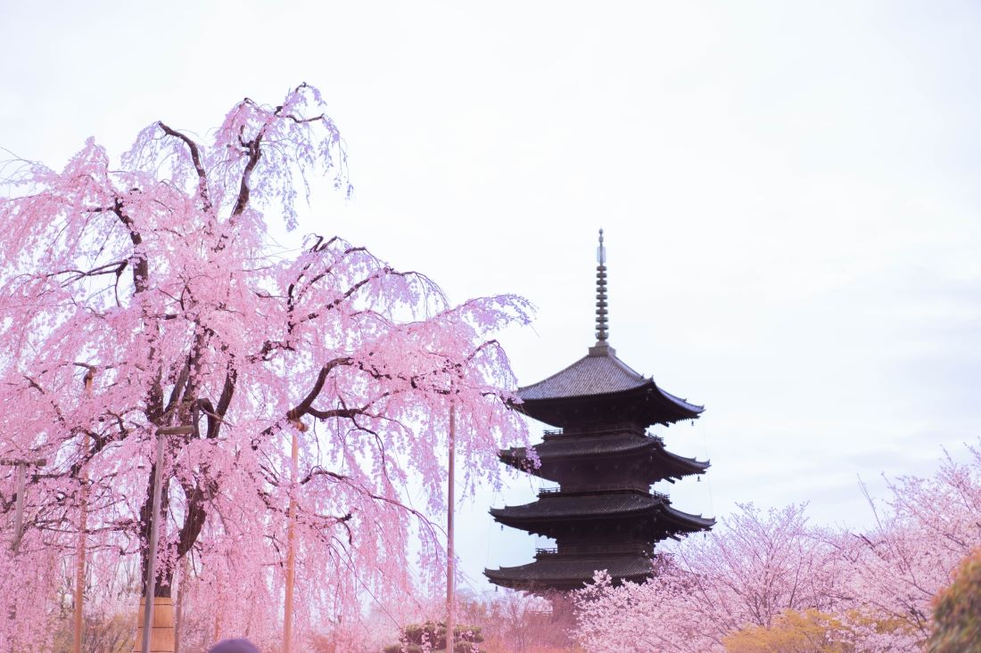 Toji Pagoda Kyoto