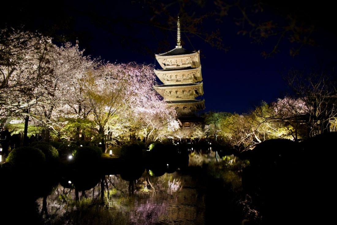 Toji Pagoda Kyoto