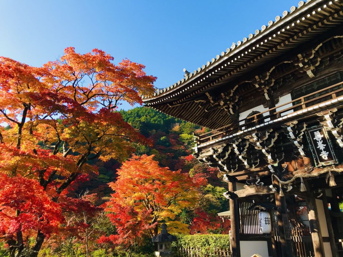 Yoshiminedera Temple Kyoto