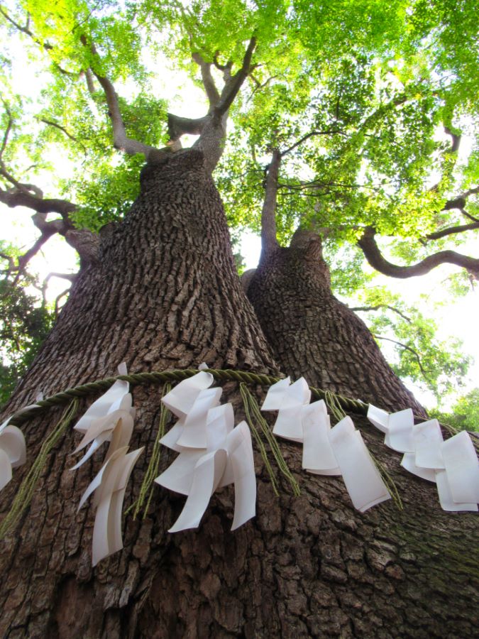 Yoyogi Hachiman Shrine