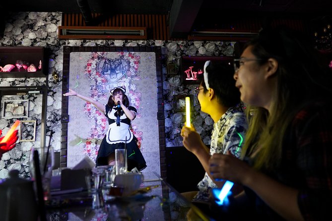 Akihabara Anime & Gaming Adventure Walking Tour - Unveiling the Hidden Gems of Akihabaras Otaku Culture