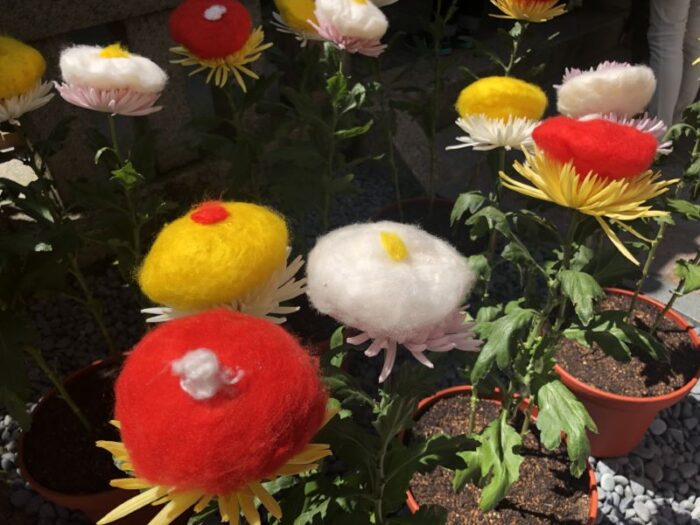 Ch Y No Sekku Kyoto S Chrysanthemums Festival