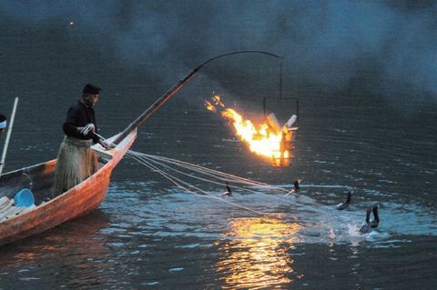 Cormorant Fishing In Arashiyama Photo Credit Hearst Fujingaho