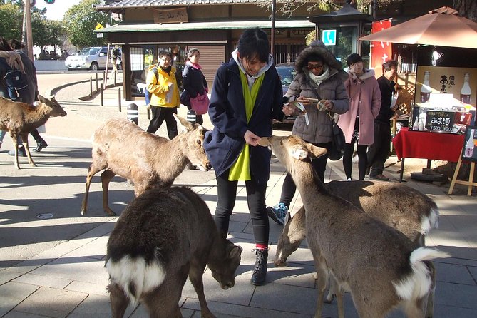 Exploring Nara - Hotel Pickup and Drop-off