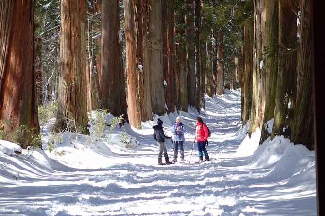 Nagano Winter Special Tour "Snow Monkey and Snowshoe Hiking"!! - Booking and Contact Information