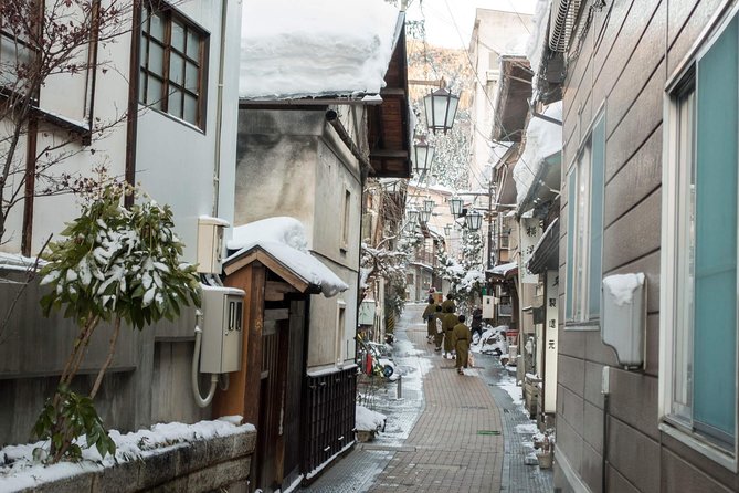 Full-Day Private Nagano Tour: Zenkoji Temple, Obuse, Jigokudani Monkey Park - Getting up Close With the Snow Monkeys of Jigokudani Monkey Park