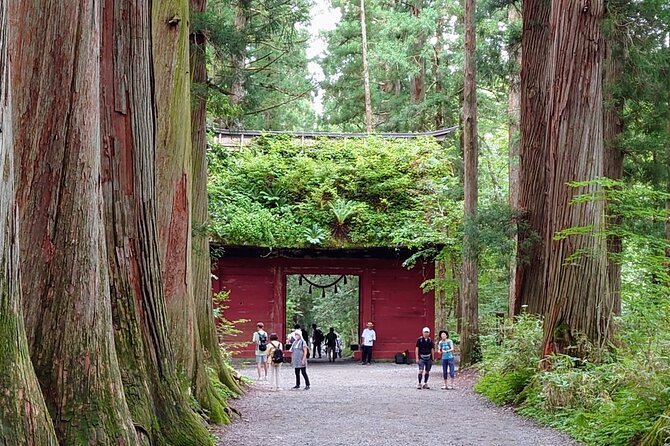 Nagano Togakushi: Soba and Ninja Experience Bus Tour - Group Size and Children