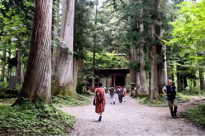 Forest Shrines of Togakushi, Nagano: Private Walking Tour - Transportation and Lunch Costs